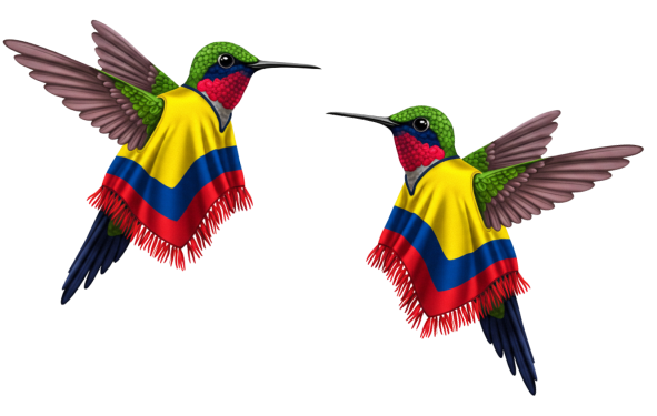 Colibrí planificando