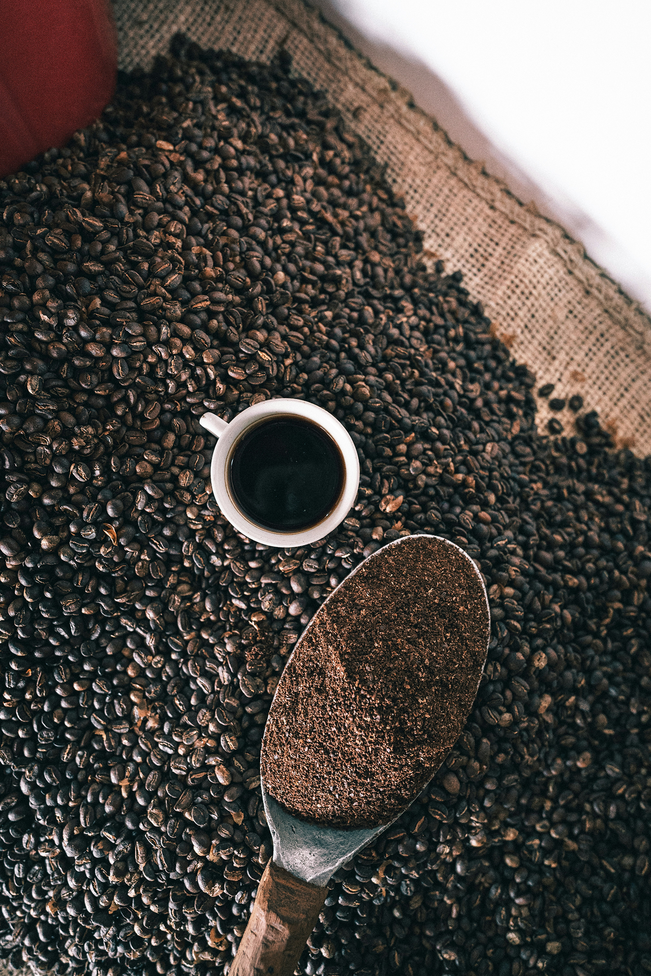 Foto de Juan Nino en Unsplash