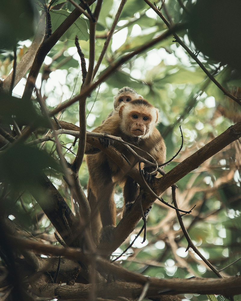 Joel Bohorquez en Unsplash